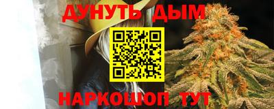 шишки Славгород