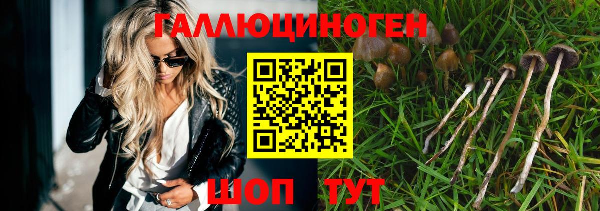 Псилоцибиновые грибы мухоморы  Вход с VPN  Нефтекумск 